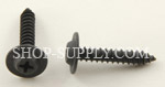 Black Phosphate Finish Trim Screws